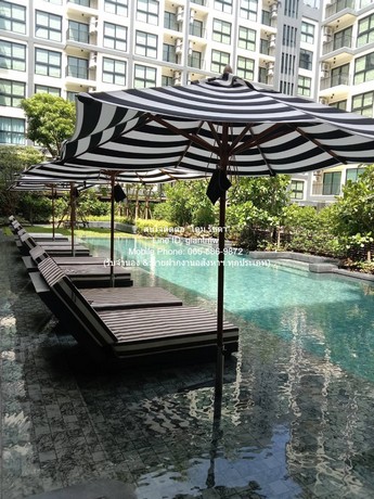 คอนโดฯ อาโล่ ลาซาล 17 Arlo Lasalle 17  10000 THB ใกล้กับ สถานีรถไฟฟ้า BTS แบริ่ง 1.2 กม. ดีเวอร์ กรุงเทพ