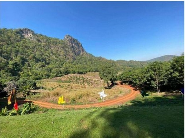 ขายที่ดิน37ไร่ 129.5ลบ.พร้อมกิจการรีสอร์ท คาเฟ่ น้ำพุร้อน สาธารณูปโภคครบ ติดถนนหลวง107 เชียงใหม่-ฝาง ต.ศรีดงเย็น อ.ไชยปราการ เชียงใหม่