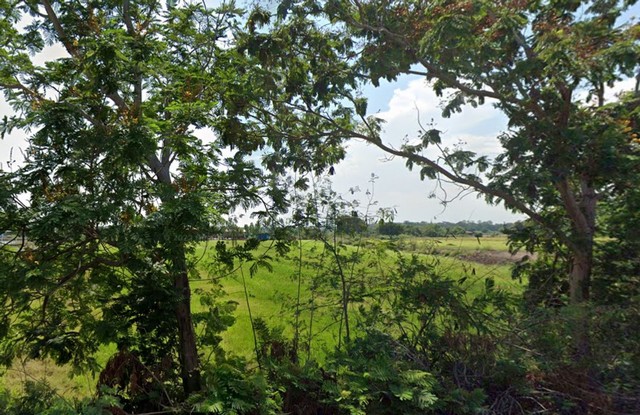 ขายที่ดิน ติดถนน บางปลาม้า 7-3-21 ไร่ วิวสวย เดินทางสะดวก แหล่งชุมชน เหมาะลงทุน สุพรรณบุรี 