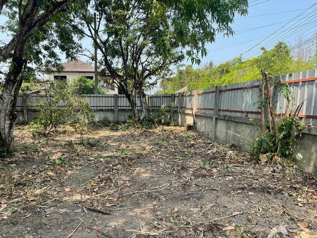 ที่ดินทำเลดี เกรดเอ ถมแล้วพร้อมสร้างบ้าน หนองจ๊อม สันทราย 