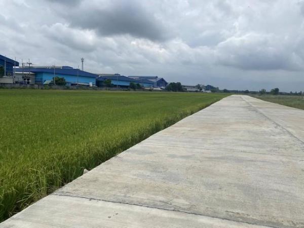 ขายที่ดิน 5 ไร่ (แบ่งขาย) เขต EEC ติดถนนสาธารณะ ถนนกว้าง 8-10 เมตร เมืองฉะเชิงเทรา (ผังสีม่วงจุดสีขาว)