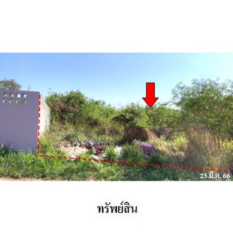 ขายที่่ดินว่างเปล่า ถนน สายแสนสุข-บางพระ (ทล.3144) ตำบล เหมือง อำเภอ เมืองชลบุรี จังหวัด ชลบุรี