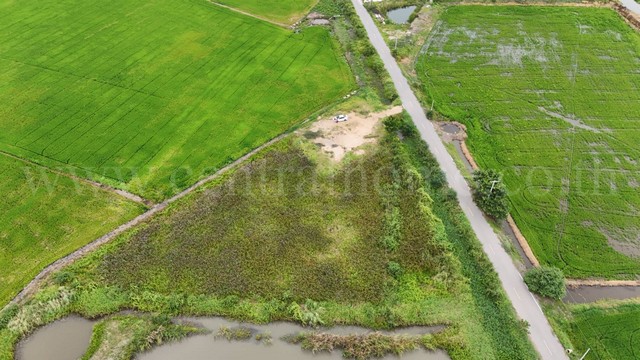 ที่ดินเปล่า 2-1-3.9 ไร่ ต.ท่าระหัด อ.เมืองสุพรรณบุรี ราคาถูกมาก