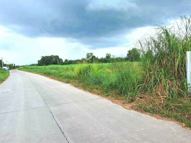 ขายที่ดินสวยราคาถูกหนองบอนแดง บนเนื้อที่ดิน 25-0-51 ไร่  (รวม 3 โฉนด)ลดพิเศษที่ดินสร้างโรงงานหนองบอนแดง