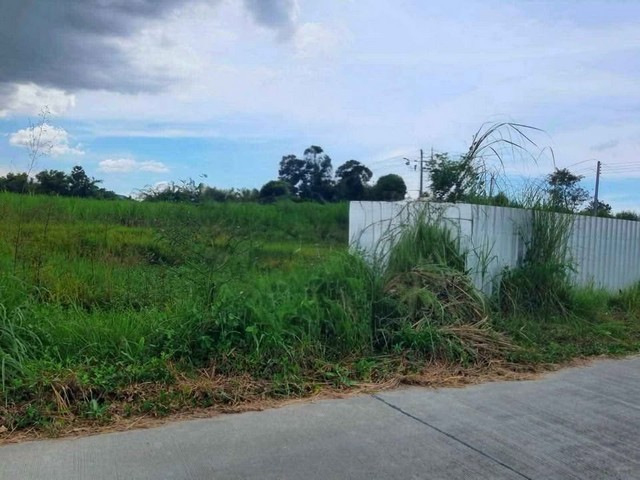 ขายที่ดินสวยราคาถูกหนองบอนแดง บนเนื้อที่ดิน 25-0-51 ไร่  (รวม 3 โฉนด)ลดพิเศษที่ดินสร้างโรงงานหนองบอนแดง