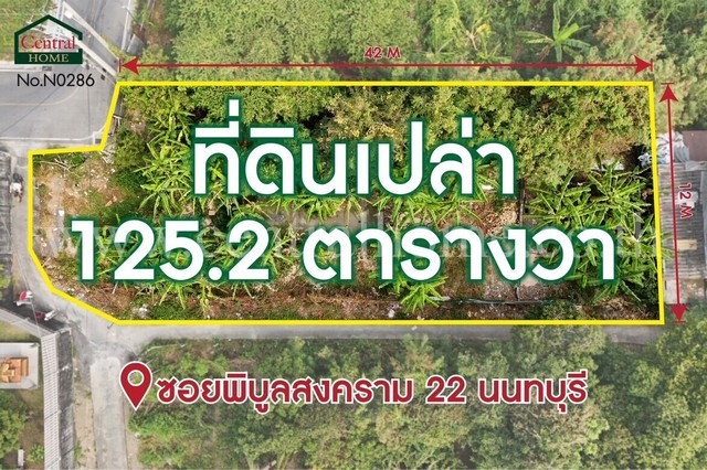P2 ที่ดินเปล่า 125.2 ตารางวา ซอยพิบูลสงคราม 22 ซอยวัดกำแพง ราคาถูกมาก