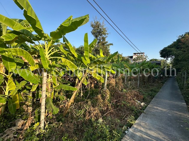 P2 ที่ดินเปล่า 125.2 ตารางวา ซอยพิบูลสงคราม 22 ซอยวัดกำแพง ราคาถูกมาก