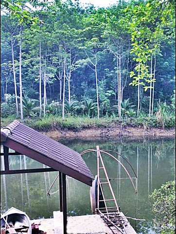 มีรายได้ทันที ที่วิวเขา สวนยางพารา-ไม้กฤษณากำลังให้ผลผลิต44ไร่กว่า พร้อมบ้านพัก อ.มะขาม  จันทบุรี o86-3ol-6l6l