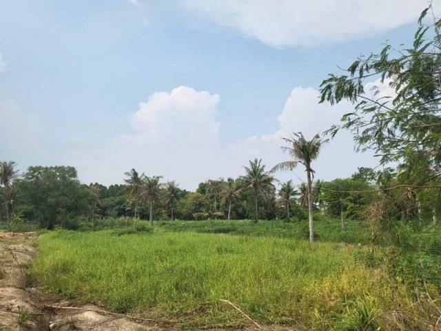 ขายที่ดินแปลงสวย 5 ไร่ ทำเลทอง ตำบลบึง ศรีราชา ชลบุรี FP-L0998