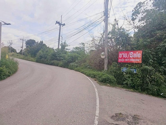 ขายที่ดินปากทางขึ้นเขาใหญ่โคราช ห่างถนนมิตรภาพ 600 เมตร