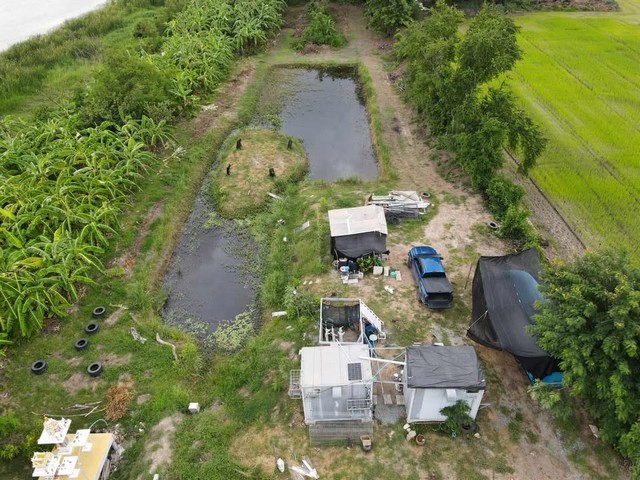 ขายที่ดินสวย ร่มรื่น มีสระน้ำ เกาะกลางน้ำ ต้นไม้ใหญ่ ใกล้ชิดธรรมชาติ อากาศดี เหมาะทำรีสอร์ทคาเฟ่ บ้านพักตากอากาศ ใกล้กรุงเทพ