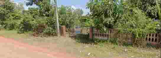 ขายที่ดินพร้อมรั้ว ทำเลดี ใกล้ โรงพยาบาลคำม่วง จังหวัดกาฬสินธุ์ 