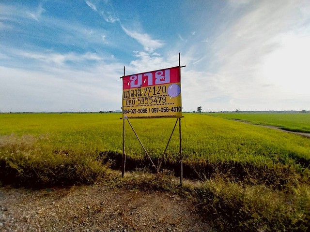 ขายที่ดินสวย 27-1-20 ไร่ ชานเมืองนครสวรรค์ เหมาะสร้างอยู่อาศัย ทำเกษตร จัดสรร  บางพระหลวง  เมืองนครสวรรค์