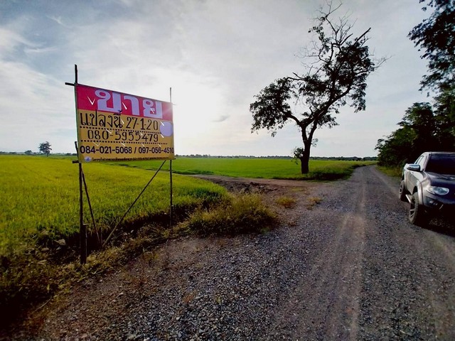 ขายที่ดินสวย 27-1-20 ไร่ ชานเมืองนครสวรรค์ เหมาะสร้างอยู่อาศัย ทำเกษตร จัดสรร  บางพระหลวง  เมืองนครสวรรค์