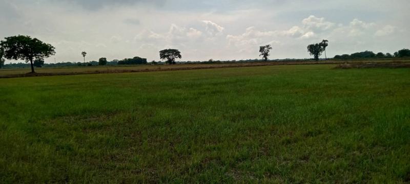 ขายที่ดินเปล่าจังหวัดพระนครศรีอยุธยา อยู่ใกล้วัดปากคลอง มีพื้นที่2ไร่340ตารางวา เหมาะสำหรับทำการเกษตรบ้านพักและรีสอร์ท