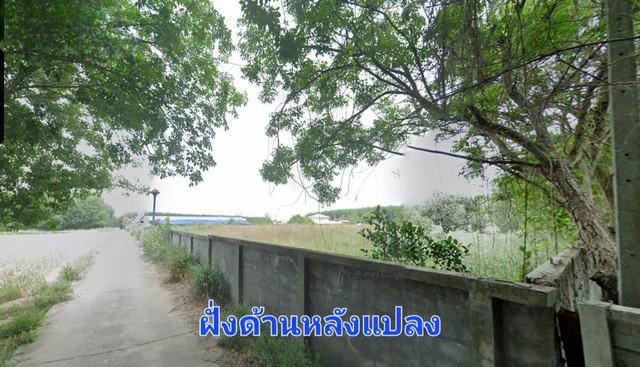 ขายที่ดิน 9-3-31 ไร่ ติดถนนสองฝั่งหน้าหลัง แปลงสวย ต.มาบยางพร อ.ปลวกแดง ( พื้นที่ม่วงจุดขาว )