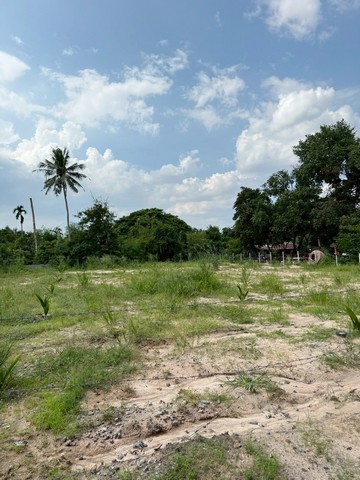 ขายที่ดิน  386 ตารางวา  หลังอนามัยตะเคียนเตี้ย บางละมุง  ชลบุรี  ZT609 