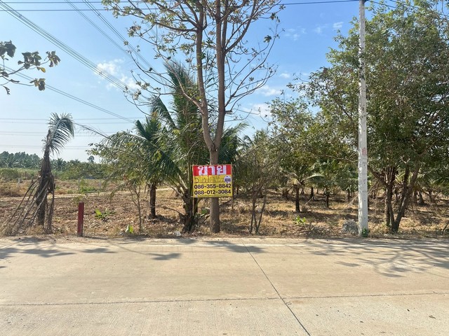 ขายที่ดิน บ้านบึง หลายแปลง เนื้อที่รวม 5 - 1 - 45 ไร่    หมู่บ้านหินดาด  หนองไผ่แก้ว บ้านบึง ชลบุรี