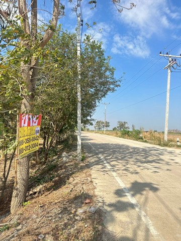 ขายที่ดิน บ้านบึง หลายแปลง เนื้อที่รวม 5 - 1 - 45 ไร่    หมู่บ้านหินดาด  หนองไผ่แก้ว บ้านบึง ชลบุรี