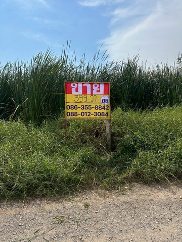 ขายที่ดิน 399 ตารางวา  ถนนพัฒนาชนบท3  ซอยสมร  ลาดกระบัง  กรุงเทพ