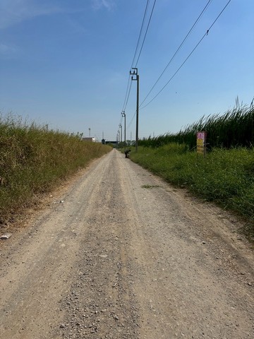 ขายที่ดิน 399 ตารางวา  ถนนพัฒนาชนบท3  ซอยสมร  ลาดกระบัง  กรุงเทพ
