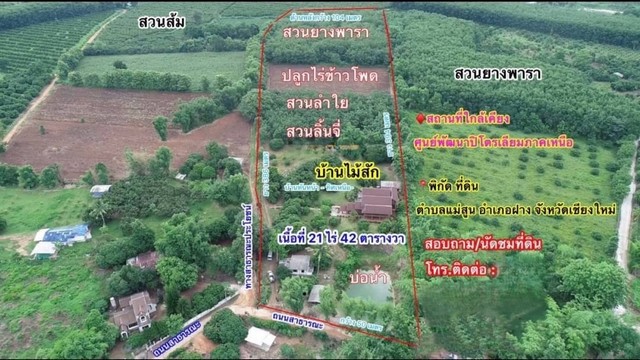Thai house Chiang Mai property for sale in Chiang Mai 21 rai two-story Thai wooden house