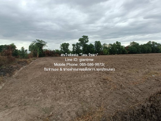 ที่ดิน //ปรับลดราคา//ขายที่ดิน พร้อมสิ่งปลูกสร้างติดทางหลวงหมายเลข 11 (อ.วังทอง จ.พิษณุโลก) 36-3-99.7 ไร่, ราคา 25,159,490 บาท  ขนาดพื้นที่ 99 ตาราง.วา 3 ngan 36 RAI    G O O D! พิษณุโลก