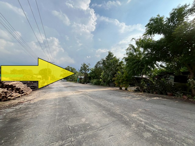 ขายที่ดินคลอง 9 รังสิต 1ไร่  ติดถนนคอนกรีต 12 เมตร ขายเท่าราคาประเมิน มีไฟฟ้า มีประปา ครบ ใกล้แหล่งชุมชน เหมาะทำโกดัง โรงงาน ออฟฟิศบริษัท 