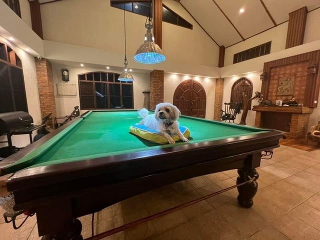 ให้เช่าบ้าน 2 ชั้น สไตล์ยุโรป ติดแม่น้ำปิง โซนสันทราย