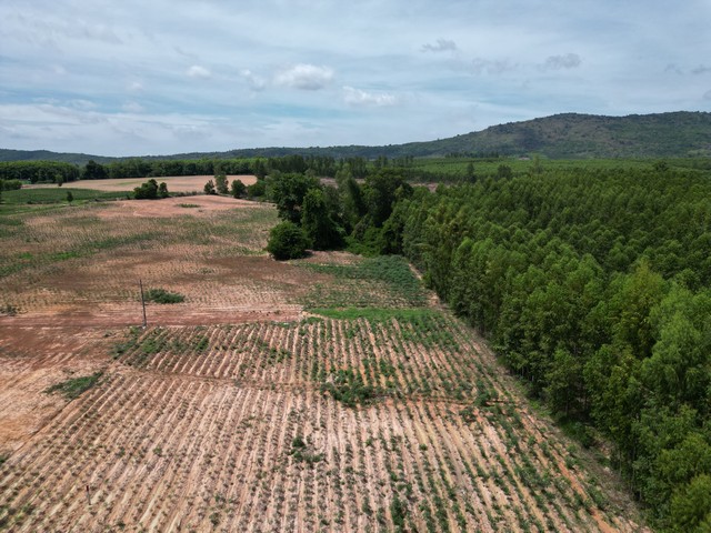 ขายที่ดิน WARA LAND49 อ.นาดี จ.ปราจีนบุรี 2ไร่ 650,000 บาท บรรยากาศดี วิวเขา