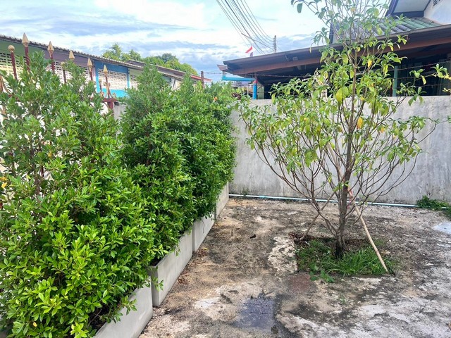 ให้เช่าบ้านเดี่ยวซอยเรือนจำ ใกล้รพ.จุฬารัตน์ ระยอง พร้อมเฟอร์นิเจอร์ครบ