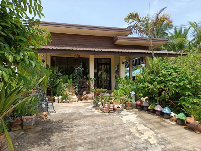 บ้านและที่ดิน พร้อมร้านกาแฟ อุปกรณ์ทั้งหมด  บ้านโคกเปี้ย ต.บ้านค้อ อ.เมืองขอนแก่น