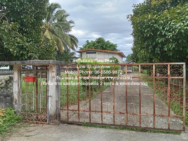 ขายบ้านปูนกึ่งไม้ 2 ชั้น 5 น 3 น้ำ (ทรงคลาสสิค) พร้อมพื้นที่สวน 351 ตร.ว. @ตลาดท่าศาลา จ.นครศรีธรรมราช ราคา 5.5 ล้านบาท