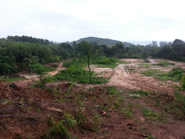 ขายที่ดินเปล่า อยู่ในเกาะลันตาใหญ่ วิวทะเล จ.กระบี่ เนื้อที่ 14-1-26 ไร่  ฝั่งตรงข้ามกับหาดคลองดาว