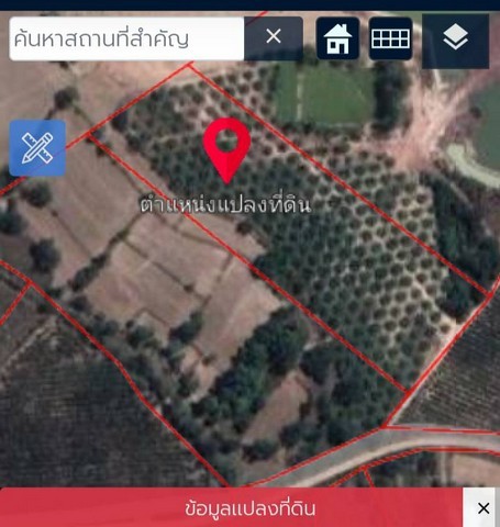 ขายที่ดินพร้อมสวนปาล์ม 10ไร่ ถูกมาก น้ำไฟ เข้าถึง ที่ดินติดถนนลาดยาง บินทร์บุรี ปราจีนบุรี