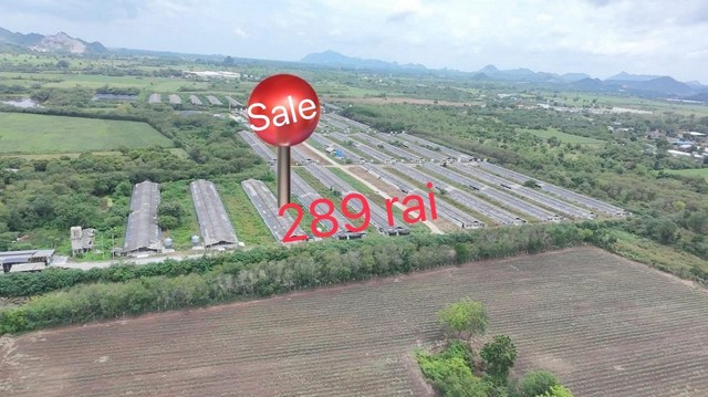 Operational pig farm for sale in Thailand   Swine farm for sale, located in Thailand