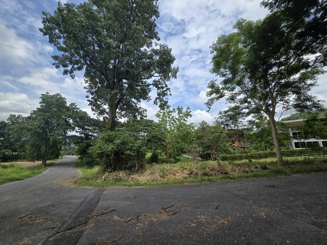 ขายที่ดินเปล่า หมู่บ้านภูภัทรา ปากช่อง เขาใหญ่ ติดถนน 2 ด้าน แปลงมุม ใกล้พีบีวัลเลย์ เขาใหญ่