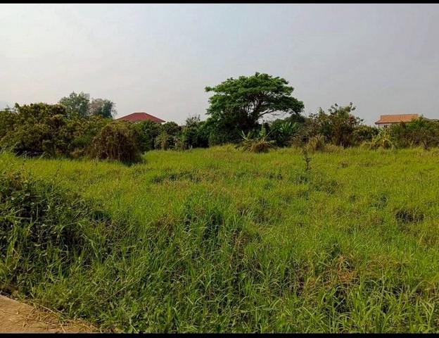 ที่ดินเปล่าใจกลางเมือง ทำเลดี โซนสันผีเสื้อ        