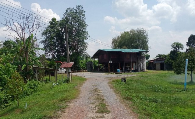 ขายที่ดินแพร่ ขายที่ดินวังชิ้นแพร่ ขายที่ดินสวนทุเรียนจังแพร่