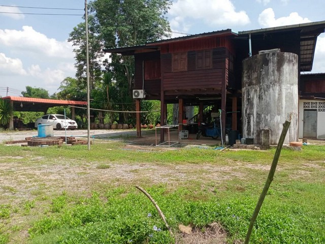 ขายที่ดินสวนทุเรียนจังหวัดแพร่ ขายที่ดินวังชิ้นแพร่