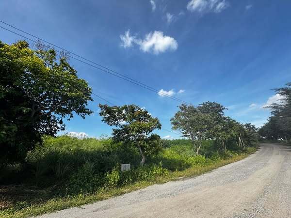  ขายที่ดินสวย บนเขา อ.ปากช่อง ทำเลทอง อากาศดี ลมเย็นสบายทั้งวัน