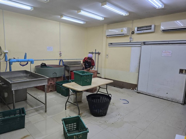 เซ้งกิจการจัดออเดอร์ ตัดแต่งผักสดส่ง อำเภอป่าซาง จังหวัดลำพูน