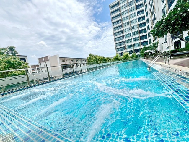 TEL:088-559 5199 คุณเอLine:https://line.me/ti/p/C0eGe0whLXคอนโดหรูให้เช่า “ซันทารา ศรีราชา” - พื้นที่กว้าง อยู่สบาย ใจกลางศรีราชาให้ทุกวันของคุณเป็นวันพักผ่อน กับคอนโดหรูขนาด 64 ตร.ม.1 ห้องนอน 1 ห้องน้ำพร้อมเฟอร์นิเจอร์และเครื่องใช้ไฟฟ้าครบ เพียง 25,000 บาท/เดือน สัญญารายปี มัดจำ 2 เดือน - ล่วงหน้า 1 เดือน - ห้องกว้างขวาง โล่งโปร่ง พร้อมแสงธรรมชาติส่องถึงทุกมุม- ตกแต่งครบครัน สไตล์เรียบหรู พร้อมเข้