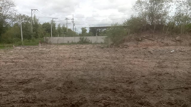 ขายถูก ที่ดินเปล่าถมแล้ว ตรงข้าม ม.ศิลปากร  สามพระยา ชะอำ เพชรบุรึ