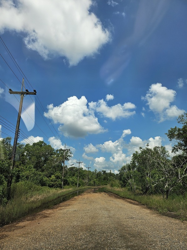 ขายที่ดินเปล่า ตำบลวังหว้า อำเภอวังหว้า จังหวัดระยอง เนื้อที่ 2ไร่