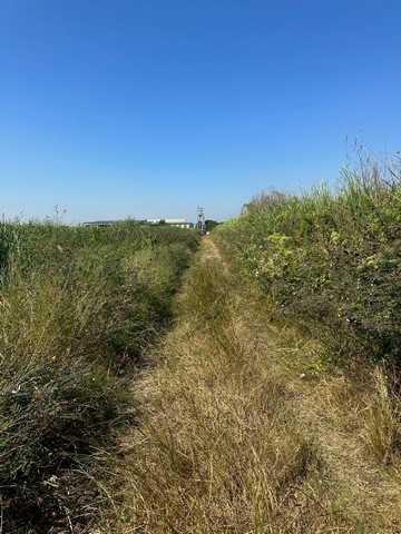 ขายที่ดิน 2-3-90 ไร่   ซ.ร่มเกล้า 25/2   ลาดกระบัง กรุงเทพ