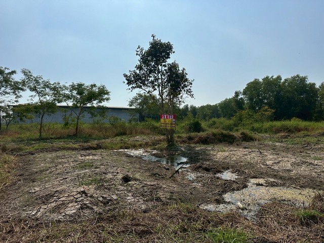 ขายที่ดิน  2 ไร่   คลอง9 ถนนรังสิต-นครนายก   บึงสนั่น   ธัญบุรี   ปทุมธานี