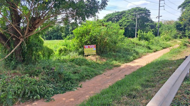 ขายที่ดิน 4-3-89 ไร่  ติดถนนมะลิวัลย์ ต.หนองบัว บ้านฝาง  ขอนแก่น