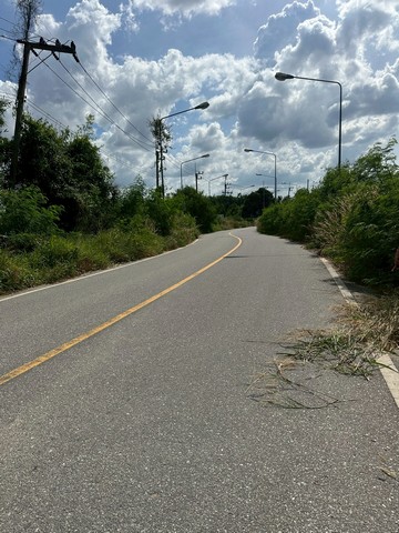 ขายที่ดิน  2-3-47 ไร่  ตำบลห้วยใหญ่   บางละมุง ชลบุรี