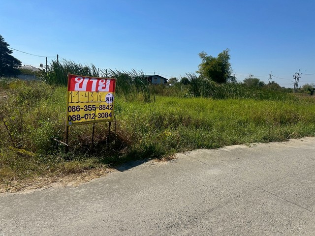 ขายที่ดิน เนื้อที่ 1 ไร่ แบ่งขายได้  กุฎโง้ง  พนัสนิคม ชลบุรี